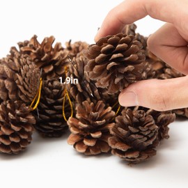 Luyoaozy 30Pcs Pine Cones for Craft Christmas Rustic Pine Cones with String Fall Garland Decor Christmas Tree Ornaments Winter Vase Filler