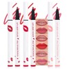 3Pcs Longwear Liquid Lip Liner Stain Pen Set Long Lasting