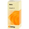 Synergon Complex 10 Ambra Drops 50 ml