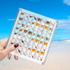 YCHYAN 64 Compartments Acrylic Shell Box, Clear Shell Collection Box,