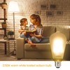ASOKO ST64 Frosted Edison Vintage Light Bulbs, 6W LED (60W