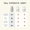 Evernate NMN 600 mg – 90 Cápsulas | 99.6% de