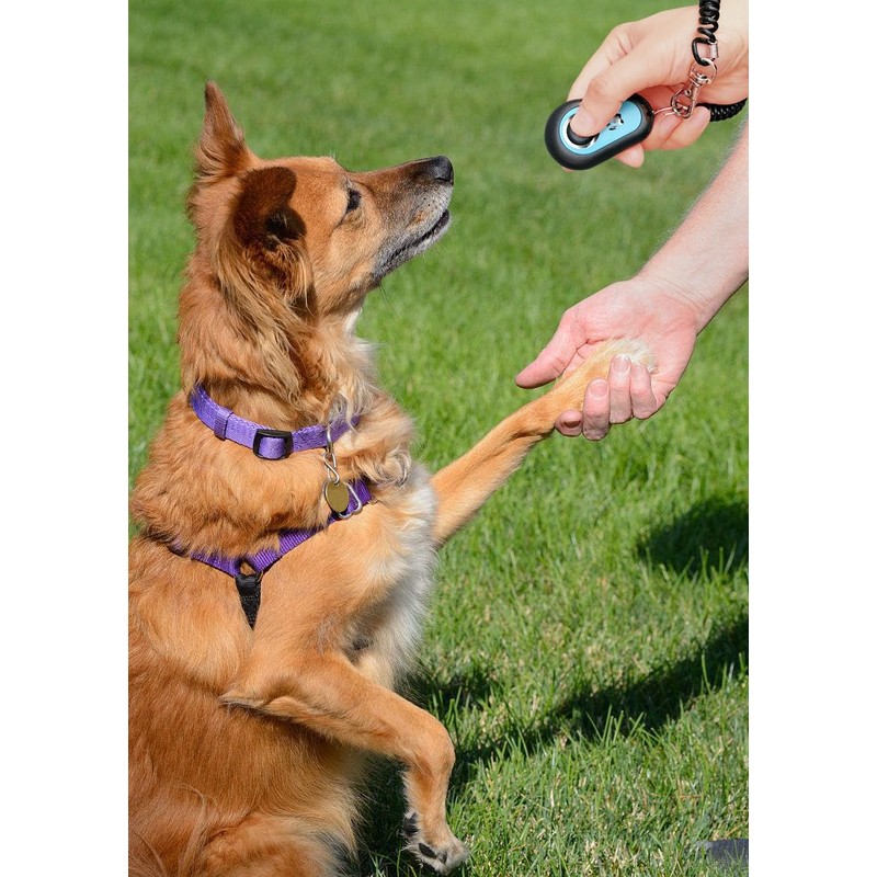 HoAoOo Pet Clicker for Dogs/Cats/Horses/Birds or Other Animals - Clickers