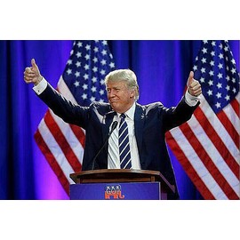 ROSTITCH 5D Diamond Painting Kits for Adults Beginners,Win！Win！ Diamond Art Kit, DIY Full Round Drill Diamond Dot Gem Art Kits for Adults,Home Wall Decor 16x12 Inch (Z72030)