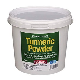 Equimins Straight Herbs Turmeric Powder 1kg Tub - Clear, 1Kg Tub
