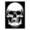 Herterich Products Airbrush Stencil for Skull Tattoo and Graffiti Stencil