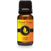 Candy Corn - Premium Grade Fragrance Oils - 10ml -