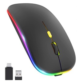Salandens Mouse Inalambrico,Wireless Mouse Recargable 2.4g Ergonómico óptico Silencioso Click,Raton inalambrico con USB y Tipo-c Adaptador(800/1200/1600) Ajustable dpi Mouse para Portátil,Pc,Mac