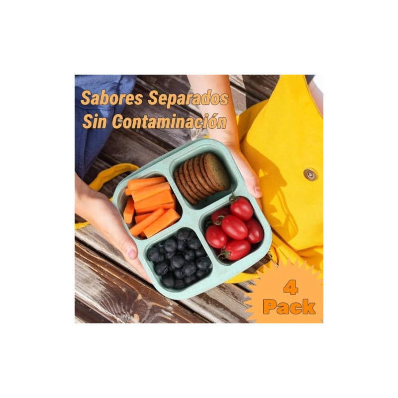 4 Pcs Recipientes para Aperitivos,4 Compartimentos para Almuerzo