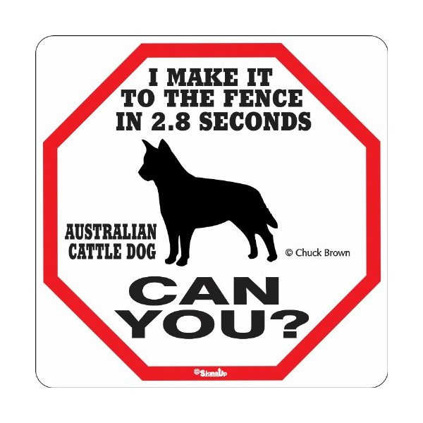 Australian Cattle Dog 2.8 Seconds Sign