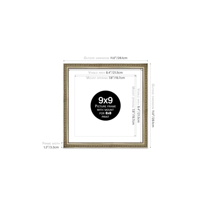 9x9 Champagne Silver Ornate Photo Frame With White Mat For