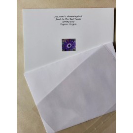 Unbranded Hummingbird Nature Wildlife 5X7 Photograph Greeting Card Blank W/Envelope