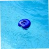 Pool Chlorine Dispenser Water Thermometer Floating Pond Thermometer Outdoor Swimming