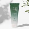 (1+1) Gainbi Cheong Eoseongcho Cleansing Foam 150ml / Herbal Soothing