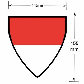 AK Giftshop Indonesia Pennant Flag Bunting Birthday Wedding Events Decorations - 12pcs / 2.5m Ribbon