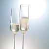 Schott Zwiesel Pure Glassware - Champagne Flutes - Processo Glasses
