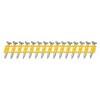 DEWALT ENGINEERED BY POWERS Concrete Nails, 3/4" Length, Steel, Zinc