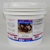 SU-PER MSM Ultra Pure Horse Joint Supplement - Helps Maintain