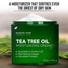 Tea Tree Oil Moisturizing Cream | 16 oz