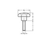 Ganter Standard Star Handle Screws GN 6336.4 Matte, Pack of
