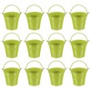 PATIKIL 2.7"x2.4" Small Metal Buckets with Handle, 12 Pcs Mini