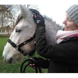 JF-Reitsport Unisex - Adult Halster with Kaphoofdstel Variant Cavesson, Black, Pony EU