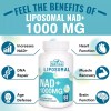 Maripolio Nad+ Liposomal Nicotinamida 1000mg 60 Capsulas Eg Nn26 Sabor