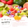 10 Pieces Fruit Picks Eyes Decorative Food Toothpick Kitchen Tableware