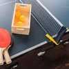 ALLY-MAGIC Table Tennis Net for Any Table Portable Ping Pong