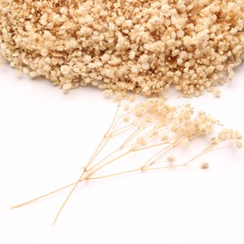 LYFORTZY 100 Pcs White Dried Babys Breath Flowers , 6000+White Baby Breath Flower Bulk, White Dried Gypsophila Flowers for Crafts, Wedding Decor Boho Invitation, Resin Candle Making,Gifts Wrap