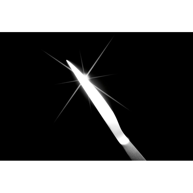 Yokoyama Enjuku NO WAZA Stainless Steel Letter Opener Case /