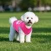 Pistha 4 Pack Dog Shirts Summer Printed Puppy Clothes Cute