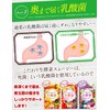 こだわりの生酵素スムージー 置き換え 108種類の生酵素 食物繊維 乳酸菌 100g (マンゴー)