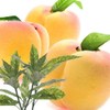 MLESNA TEA CUBE BOX White Peach Earl Grey 0.1 oz