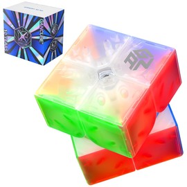 GAN 251 Air (10th Version) 2x2 Magic Cube Magnetic Speed Cube GAN251 Air M Magic Puzzle Stickerless 2x2x2 Goose Cubes