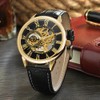 Dentily Classic Mechanical Hand-Wind Watch Men's Skeleton Watch Leather Strap