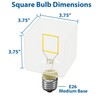 Festive Living LED Cube Light, Unique Edison Bulb with Square