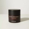 Hwige 휘게 내추럴 리페어 크림 50ml 홍삼 영양 슬로우에이징 JP480029 Hwige Natural Repair Cream 50ml Red Ginseng Nutrition Slow Aging JP480029