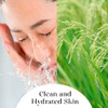 Organic rice bran oil, rice oil cleansing oil organic KALTGEPRESST100%