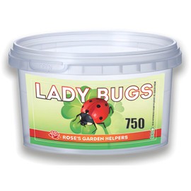 750 Live Ladybugs - Hippodamia Convergens - Guaranteed Live Deliver - Plastic Container for Moth (750)