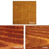 Expert Stain & Seal Transparent Stain & Sealer (Natural Tone)