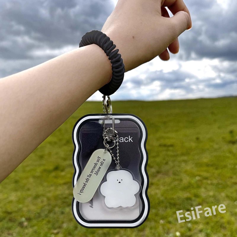 EsiFare Card Holder, Double-Sided Clear Transparent Pass Case, 2-Piece Set,