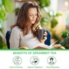 Spearmint Tea bags, Natural Spearmint Leaf Herbal Tea - 30