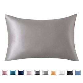 Adubor 100% Mulberry Silk Pillowcase for Hair and Skin with Hidden Zipper, Both Side 23 Momme Silk, 900 Thread Count(20x26 inches, Standard Size, Dark Grey, 1pc)