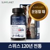 L-Carnitine 2000mg Exercise 30-Day Supply Diet Food / L-카르니틴2000mg 엑서사이즈