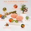 6PCS Persimmon Soap Bar for Body Odor Control, Natural Cold