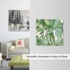 Green Tropical Monstera Banana Palm Leaves Plant Wall Plate Switchplate