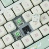 Kailh Box Jade Switches for Mechanical Gaming Keyboard,3-Pin 50gf Clicky/lubed/Dust&Waterproof
