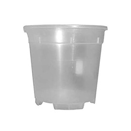 Orchid Pot Plastic Transparent in Various Sizes (Diameter 17 cm x Height 15 cm)