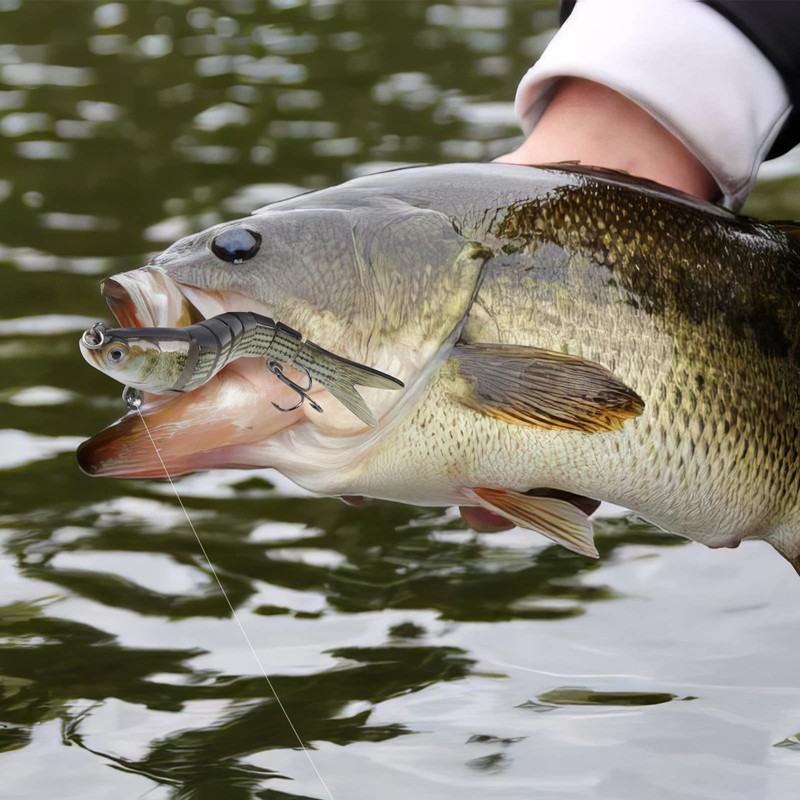 Matymats 6pc Multi-Jointed Pike Lures - 8 Segmented, Slow Sinking,